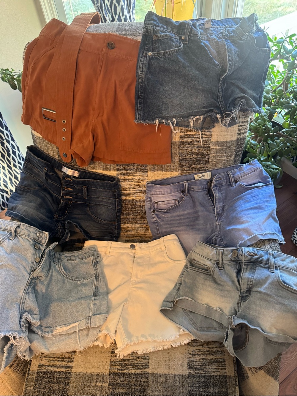 Lot of 7 Juniors/Womens Shorts